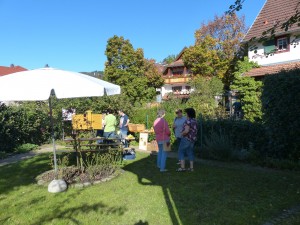Ulrike Braun (Cum Natura) bei Erklärungen zum Leben der Bienen im Garten der Geiserschmiede