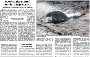 Badische Neueste Nachrichten vom 10.12.2015