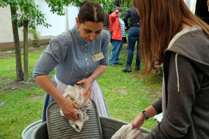 Internationaler Museumstag 19.05.2019