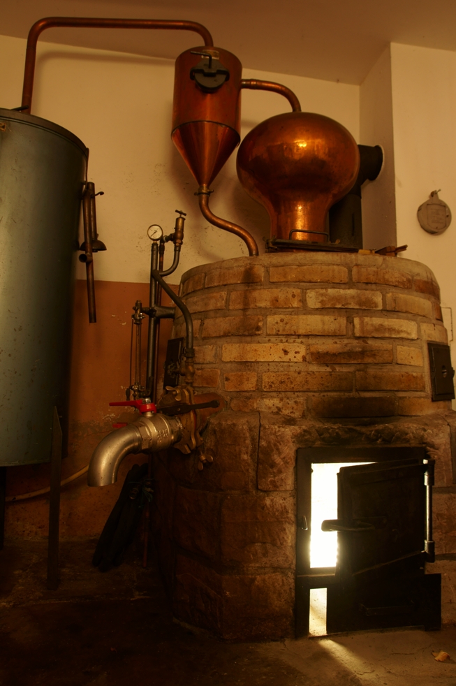 Rauchtag am 24. März 2024 – auch für Nichtraucher empfehlenswert!